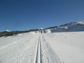 Disfruta de nuestras rutas.jpg